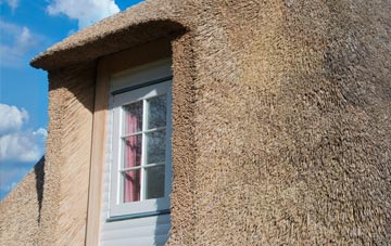 Tote thatch roof disadvantages